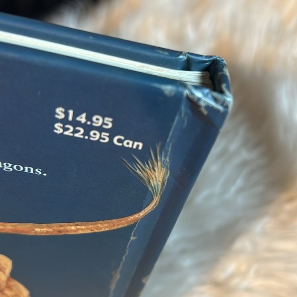 Where is the dragon book? - Picture 3 of 9